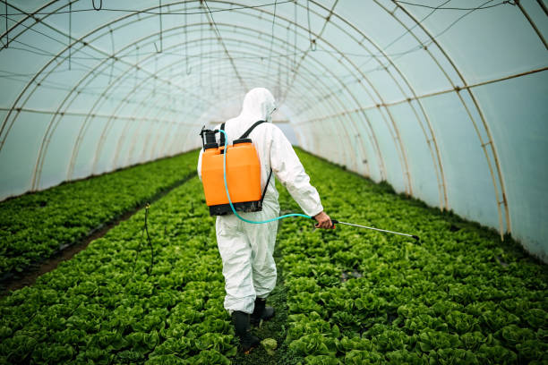 Best Best Pest Control Companies  in Ellsworth, WI